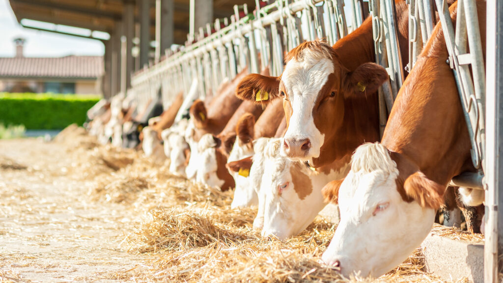 agriculture gut microbiome